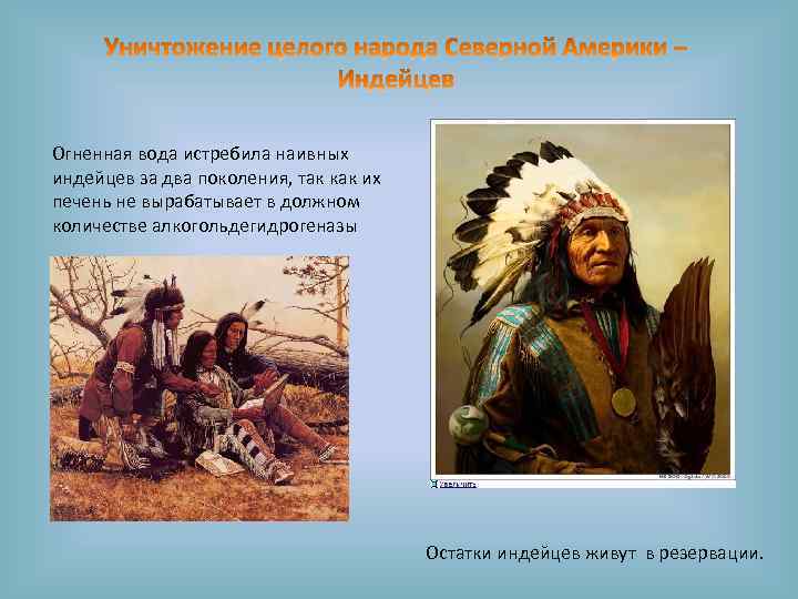 Огненная вода истребила наивных индейцев за два поколения, так как их печень не вырабатывает