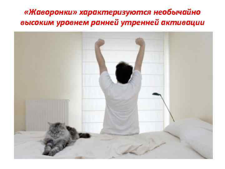  «Жаворонки» характеризуются необычайно высоким уровнем ранней утренней активации 
