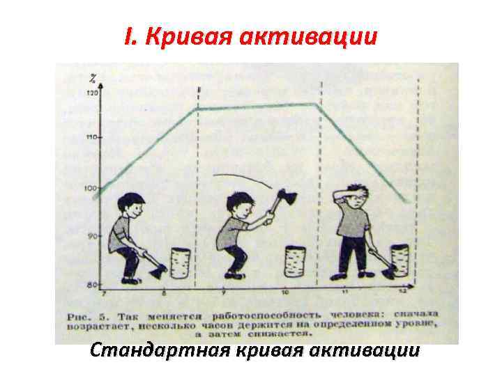 I. Кривая активации Стандартная кривая активации 