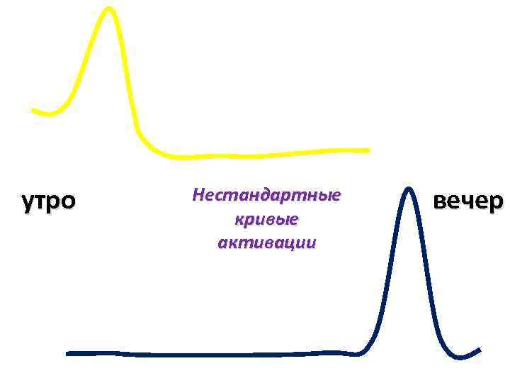 утро Нестандартные кривые активации вечер 