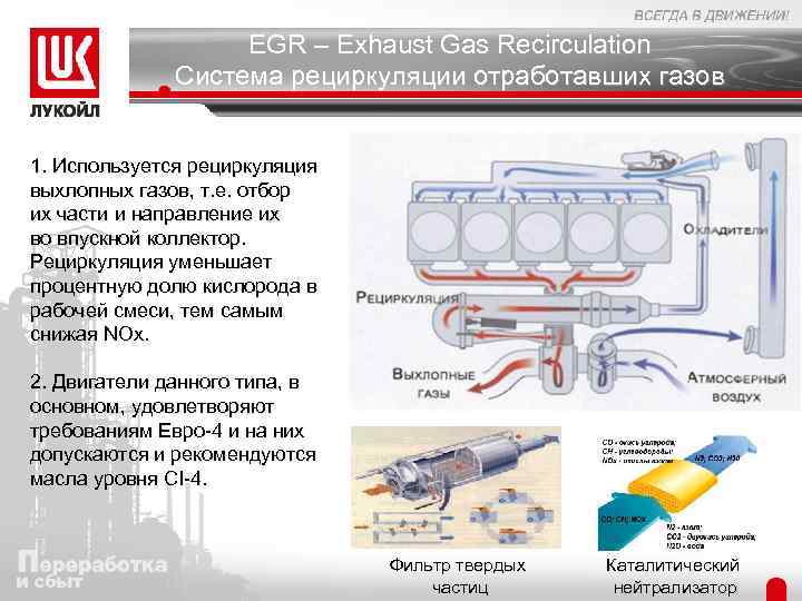 Система выхлопных газов автомобиля. Система нейтрализации отработанных газов. Система рециркуляции выхлопных газов. Жидкостный нейтрализатор отработавших газов.