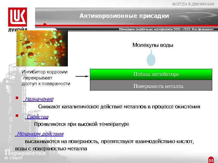 Антикорозионные присадки Компания смазочных материалов ООО «ЛЛК-Интернешнл» Молекулы воды Ингибитор коррозии перекрывает доступ к