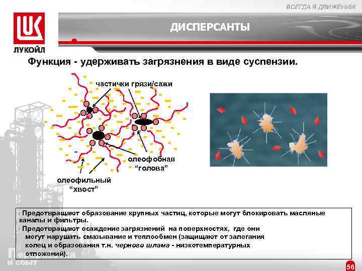 ДИСПЕРСАНТЫ Функция - удерживать загрязнения в виде суспензии. частички грязи/сажи олеофобная “голова” олеофильный “хвост”