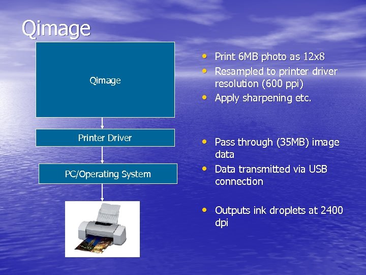 Qimage • Print 6 MB photo as 12 x 8 • Resampled to printer