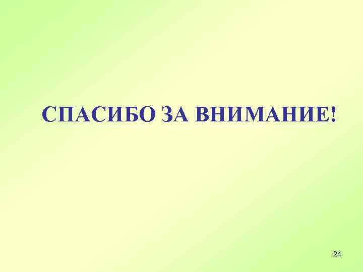 СПАСИБО ЗА ВНИМАНИЕ! 24 
