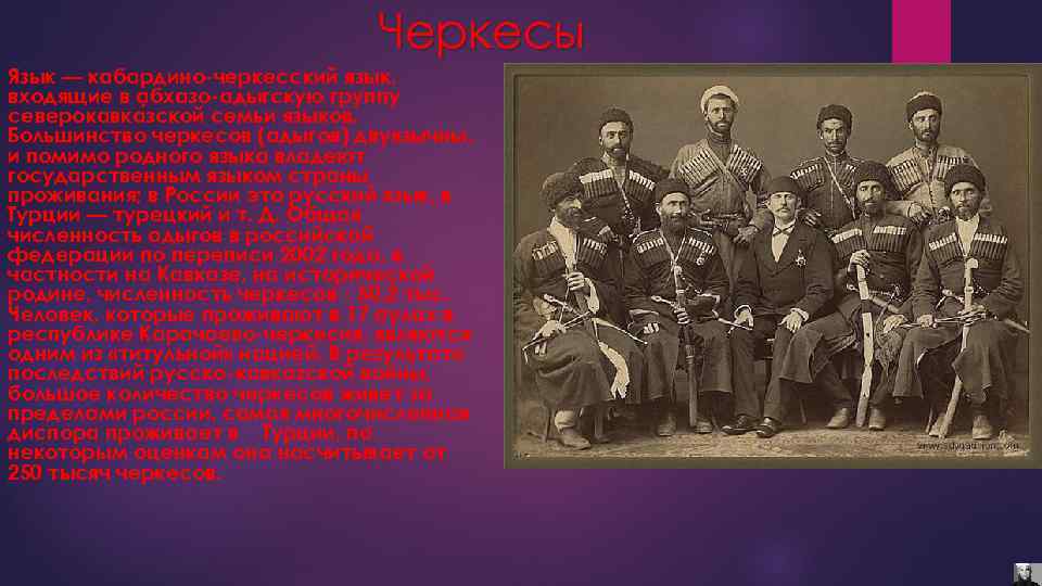 Черкесы Язык — кабардино черкесский язык, входящие в абхазо адыгскую группу северокавка зской семьи