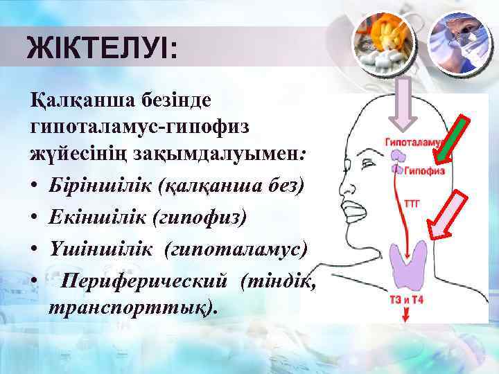 ЖІКТЕЛУІ: Қалқанша безінде гипоталамус-гипофиз жүйесінің зақымдалуымен: • Біріншілік (қалқанша без) • Екіншілік (гипофиз) •