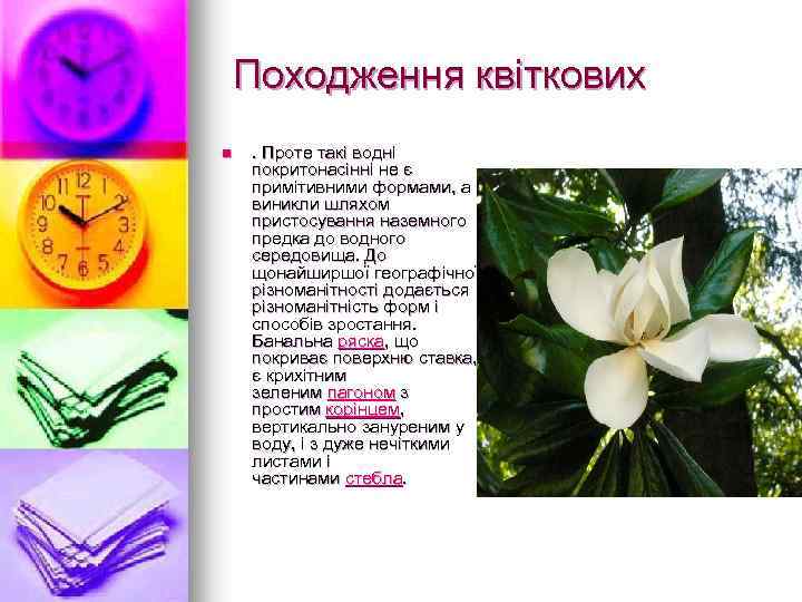  Походження квiткових n . Проте такі водні покритонасінні не є примітивними формами, а