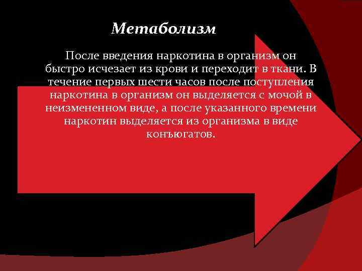 Метаболизм После введения наркотина в организм он быстро исчезает из крови и переходит в
