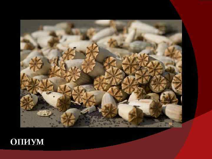 ОПИУМ 