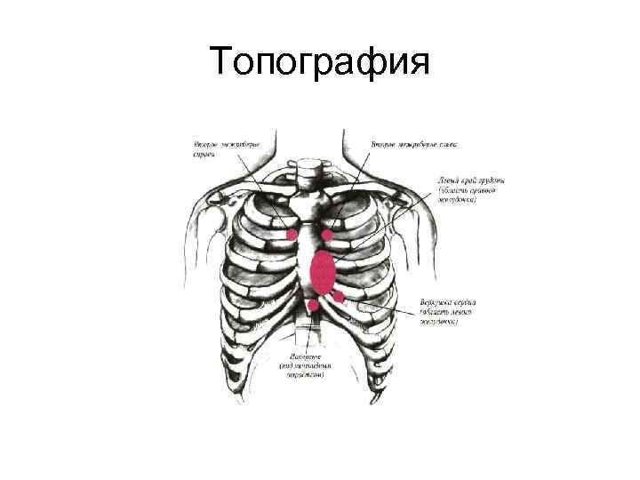 Топография 