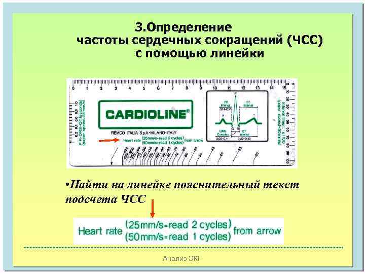 3. Определение частоты сердечных сокращений (ЧСС) с помощью линейки • Найти на линейке пояснительный