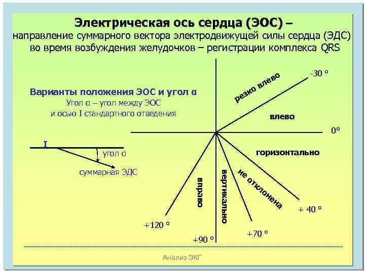 Электрическая ось сердца (ЭОС) – направление суммарного вектора электродвижущей силы сердца (ЭДС) во время