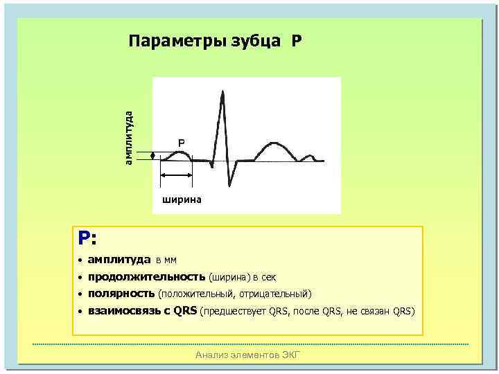 амплитуда Параметры зубца Р ширина Р: • амплитуда в мм • продолжительность (ширина) в