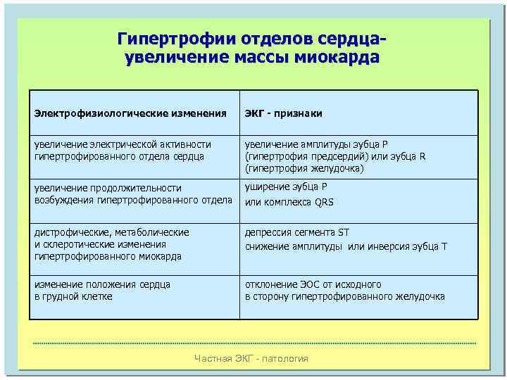 Гипертрофии отделов сердцаувеличение массы миокарда Электрофизиологические изменения ЭКГ - признаки увеличение электрической активности гипертрофированного