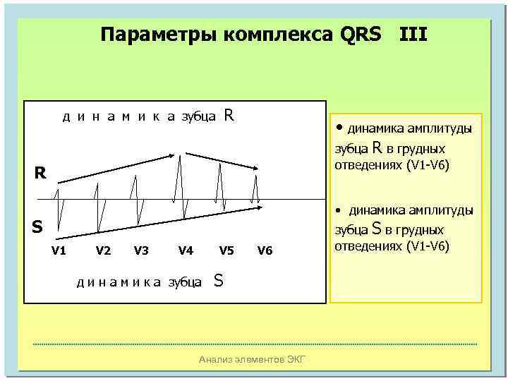 Параметры комплекса QRS III R д и н а м и к а зубца