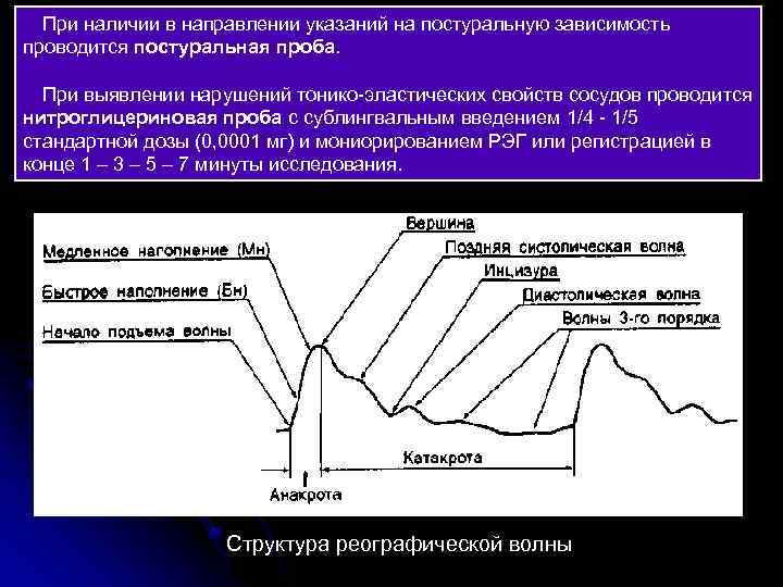 При наличии в направлении указаний на постуральную зависимость проводится постуральная проба. При выявлении нарушений