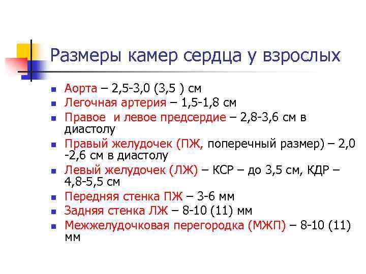 Размеры камер сердца у взрослых n n n n Аорта – 2, 5 -3,