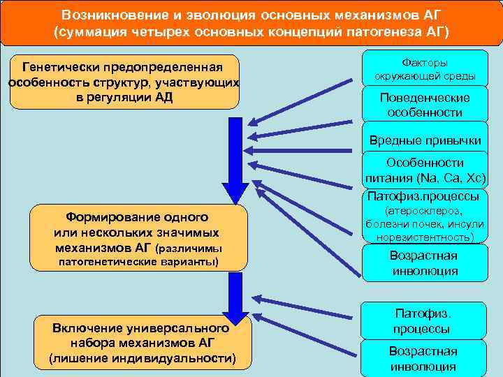 Возникновение и эволюция основных механизмов АГ (суммация четырех основных концепций патогенеза АГ) Генетически предопределенная