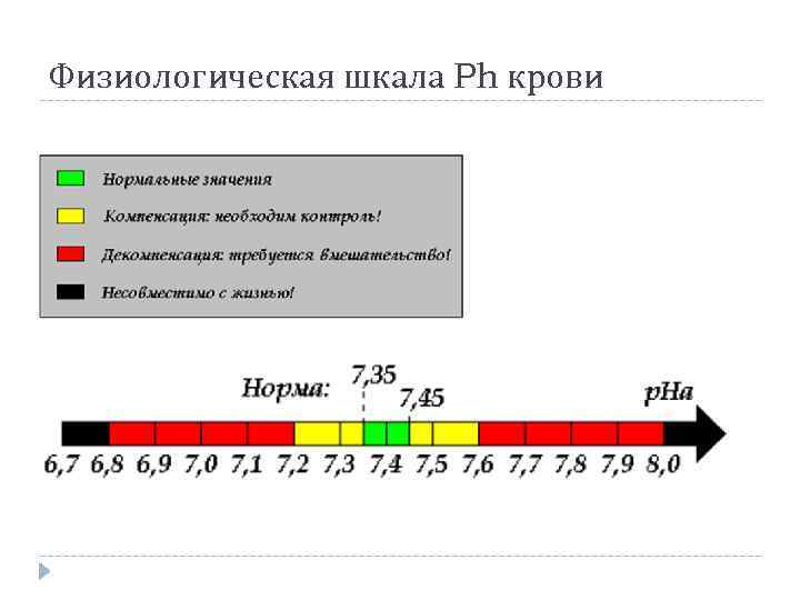 Физиологическая шкала Ph крови 