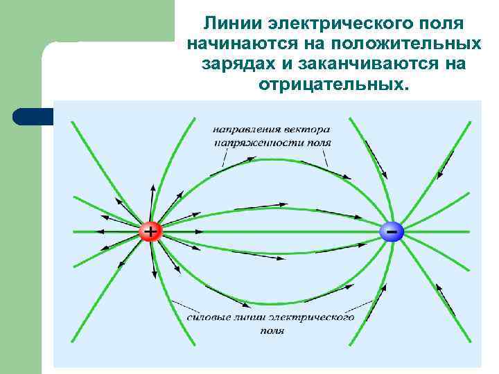 Линии электрического поля начинаются на положительных зарядах и заканчиваются на отрицательных. 