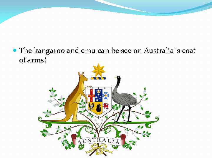  The kangaroo and emu can be see on Australia`s coat of arms! 