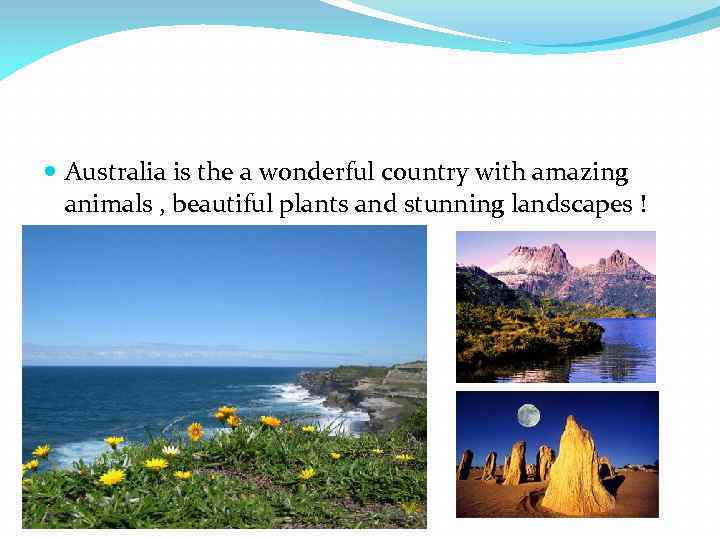  Australia is the a wonderful country with amazing animals , beautiful plants and