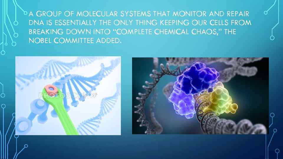 A GROUP OF MOLECULAR SYSTEMS THAT MONITOR AND REPAIR DNA IS ESSENTIALLY THE ONLY