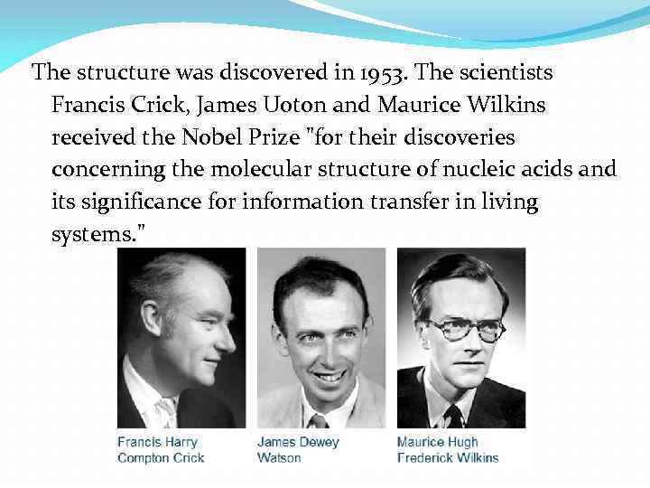The structure was discovered in 1953. The scientists Francis Crick, James Uoton and Maurice