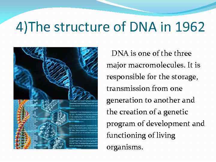 4)The structure of DNA in 1962 DNA is one of the three major macromolecules.