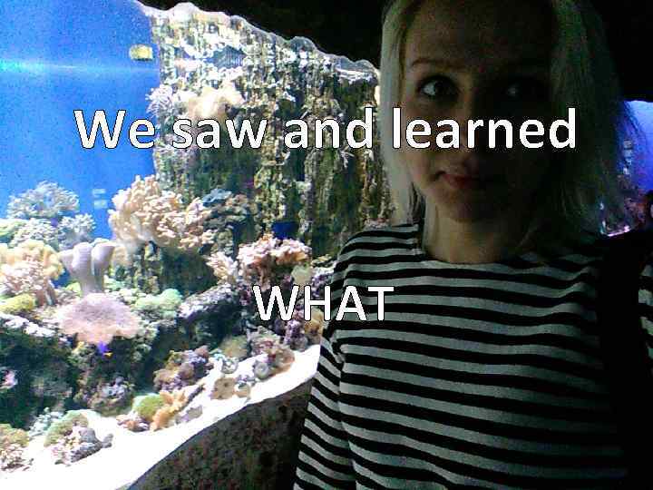 We saw and learned WHAT 