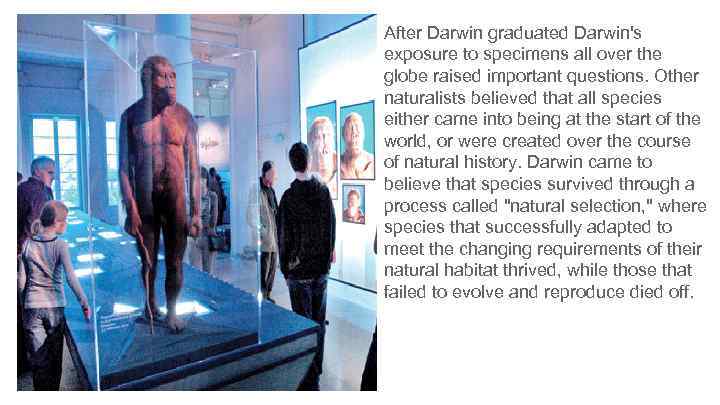 After Darwin graduated Darwin's exposure to specimens all over the globe raised important questions.