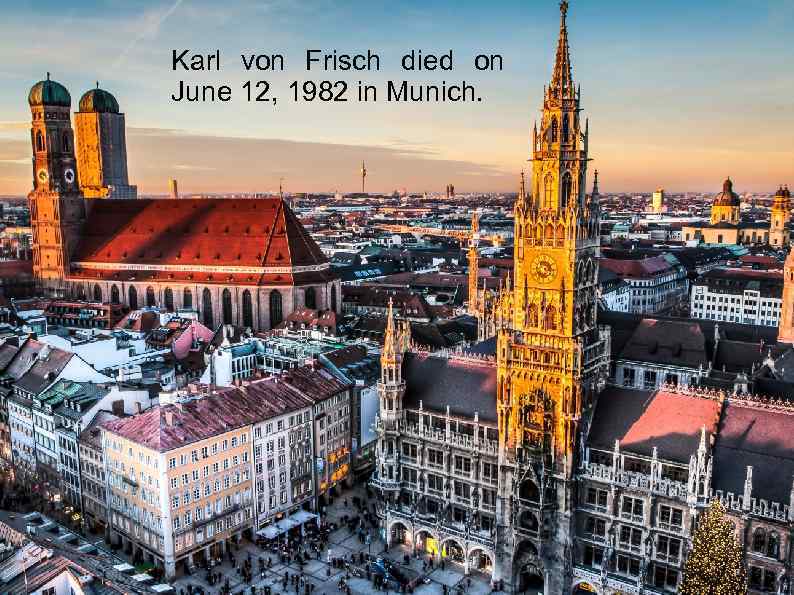 Karl von Frisch died on June 12, 1982 in Munich. 
