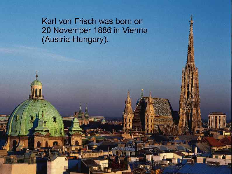 Karl von Frisch was born on 20 November 1886 in Vienna (Austria-Hungary). 