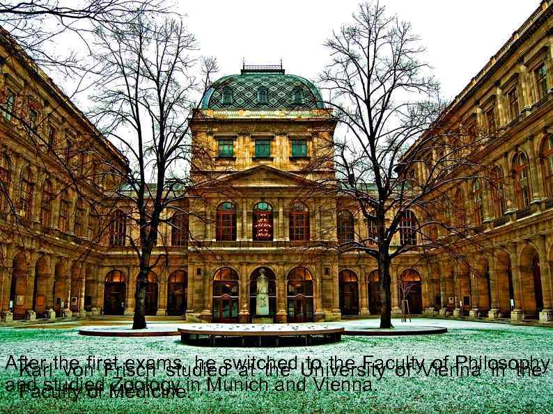 After the first exams, he switched University of Vienna in the Karl von Frisch
