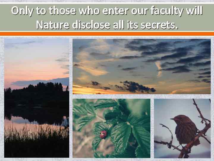 Only to those who enter our faculty will Nature disclose all its secrets. 