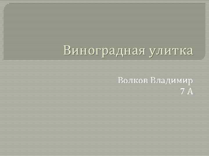 План к сказке волк улитка и осы