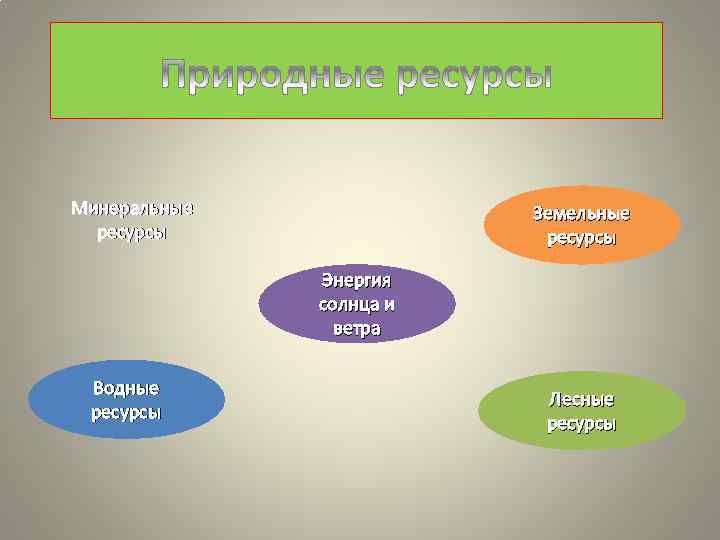 Минеральные ресурсы Земельные ресурсы Энергия солнца и ветра Водные ресурсы Лесные ресурсы 
