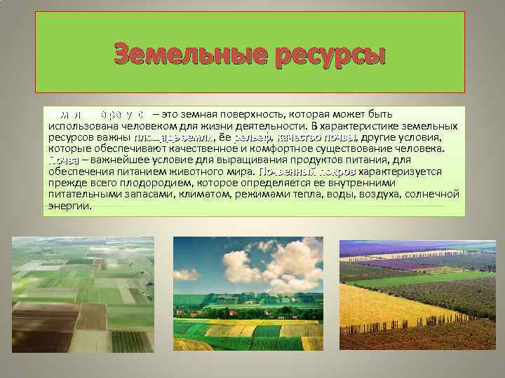 Земельные ресурсы – это земная поверхность, которая может быть Земельные ресурсы использована человеком для