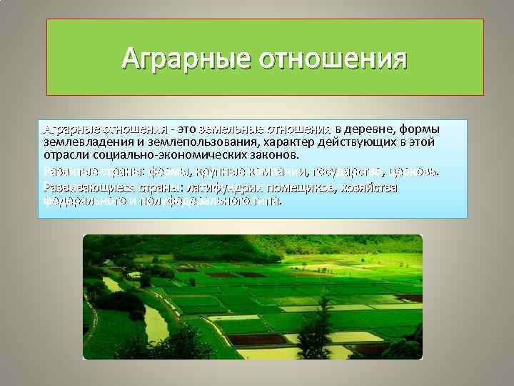 Аграрные отношения