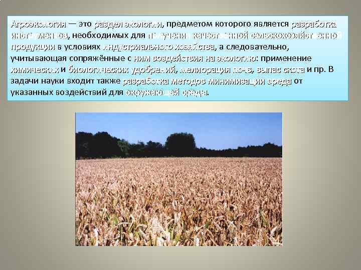 Агроэкология — это раздел экологии, предметом которого является разработка Агроэкология раздел экологии инструментов, необходимых