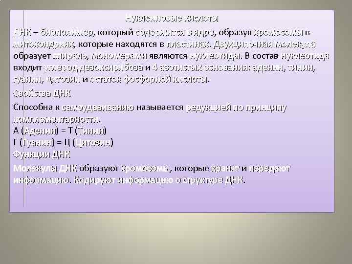 Нуклеиновые кислоты ДНК – биополимер, который содержится в ядре, образуя хромосомы в биополимер ядре