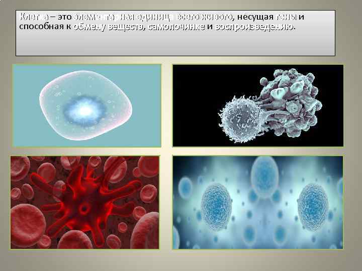 Клетка – это элементарная единица всего живого, несущая гены и живого способная к обмену