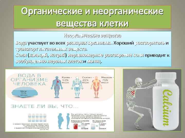 Органические и неорганические вещества клетки Неорганические вещества Вода участвует во всех реакциях организма. Хороший