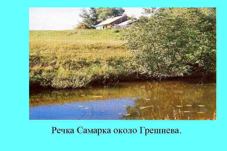 Речка Самарка около Грешнева. 