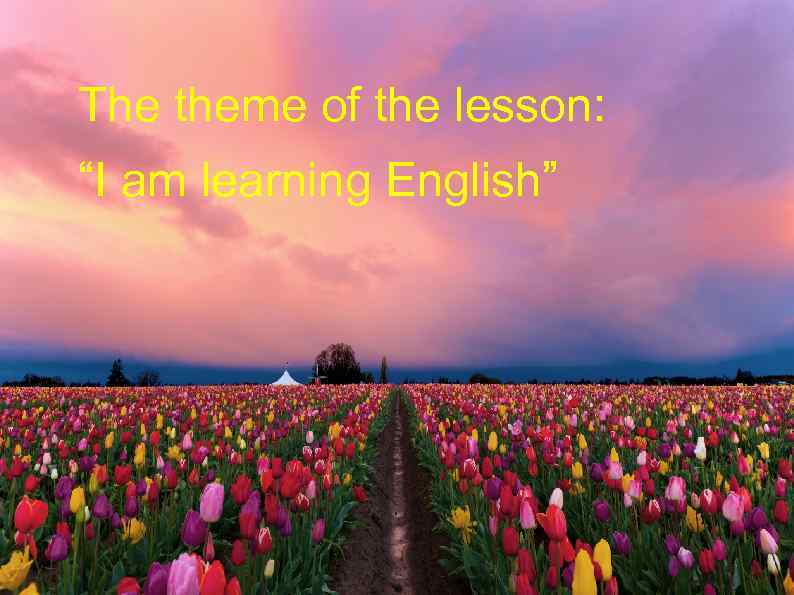 The theme of the lesson: “I am learning English” 