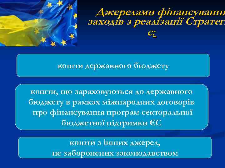 Джерелами фінансування заходів з реалізації Стратегі є: кошти державного бюджету кошти, що зараховуються до