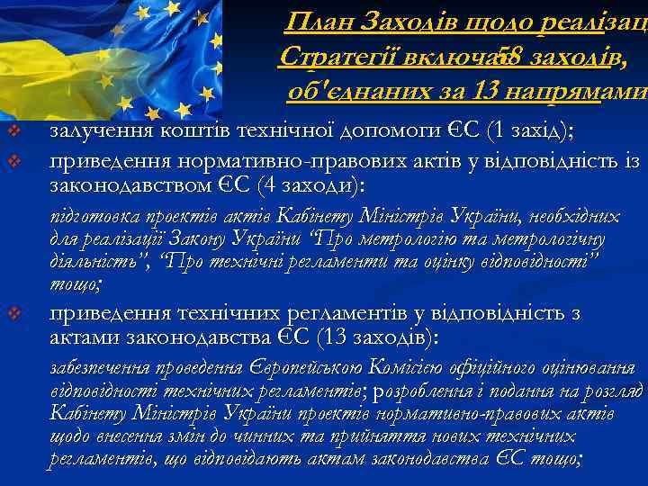 План Заходів щодо реалізаці Стратегії включає заходів, 58 об'єднаних за 13 напрямами: напрямами v