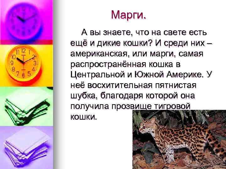 Марги. А вы знаете, что на свете есть ещё и дикие кошки? И среди