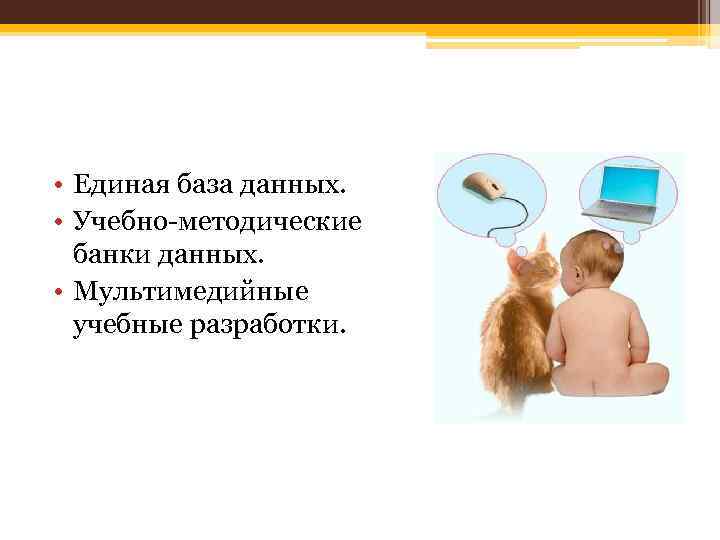  • Единая база данных. • Учебно-методические банки данных. • Мультимедийные учебные разработки. 